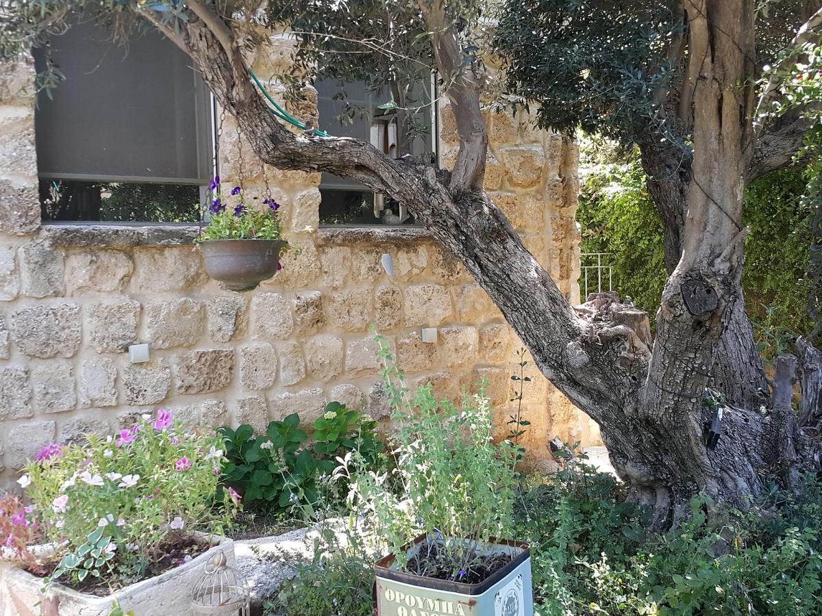 فندق The House Of Taly & Erez Netaim المظهر الخارجي الصورة