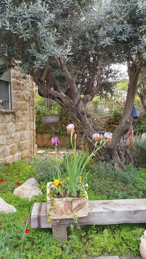 فندق The House Of Taly & Erez Netaim المظهر الخارجي الصورة