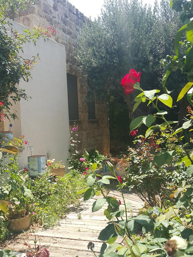 فندق The House Of Taly & Erez Netaim المظهر الخارجي الصورة