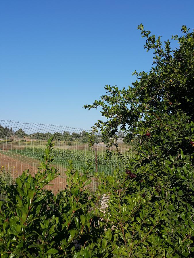 فندق The House Of Taly & Erez Netaim المظهر الخارجي الصورة