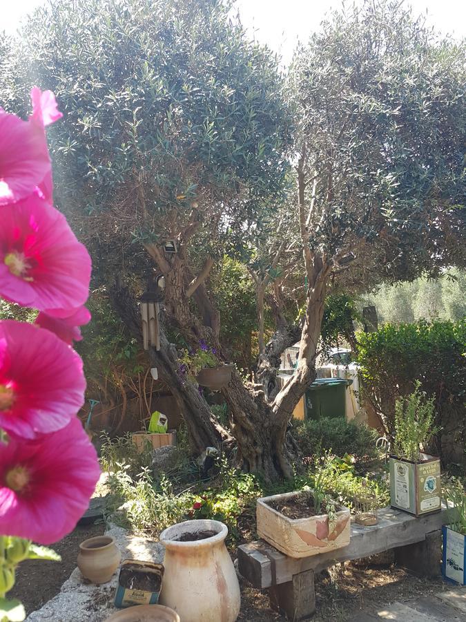 فندق The House Of Taly & Erez Netaim المظهر الخارجي الصورة