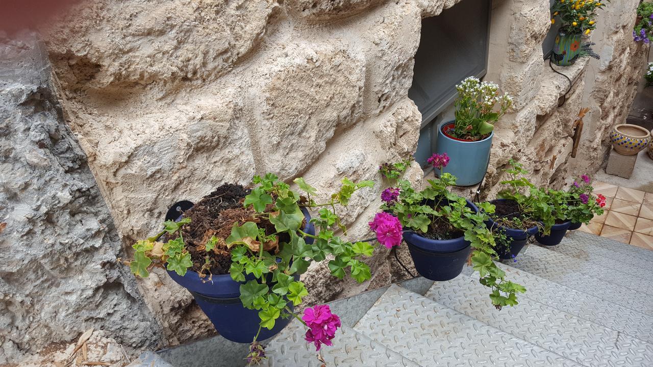 فندق The House Of Taly & Erez Netaim المظهر الخارجي الصورة