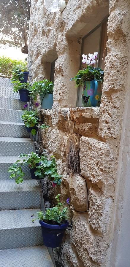 فندق The House Of Taly & Erez Netaim المظهر الخارجي الصورة
